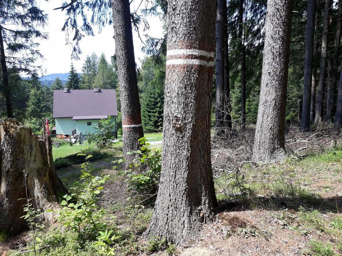 Chata Lipno Lipno nad Vltavou Buitenkant foto